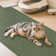 Solid Colour Area Rug