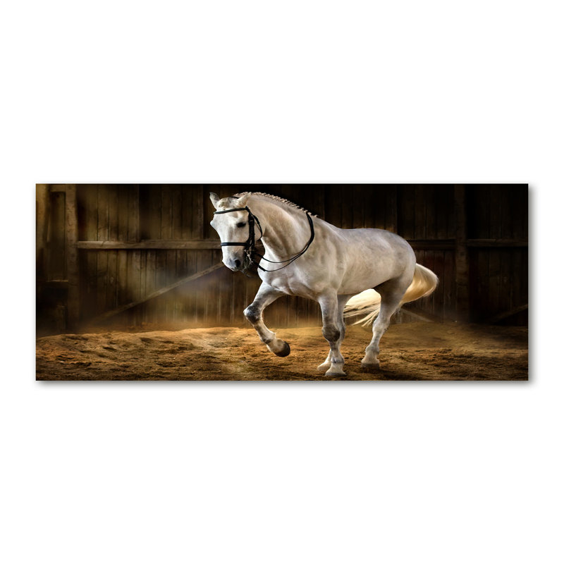 White Horse In The Stable - No Frame Print on Canvas