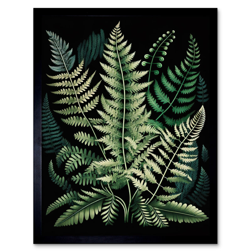 Different Fern Fronds Detailed Leaves - Single Picture Frame Print