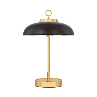 Hector Rechargeable Table Lamp in Aged Brass and Distressed Bronze