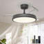 106.68cm Ceiling Fan-1379589297