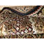 Olger Oriental Indoor Rug