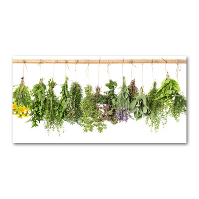 Herbs on a String 1 Piece Wrapped Canvas Wall Art
