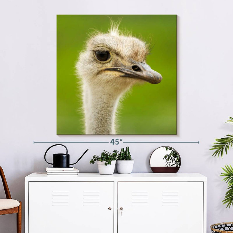 Crowle Serious Ostrich, 33" H x 33" W