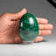 Genuine Polished Malachite Egg (1.5 Lbs)