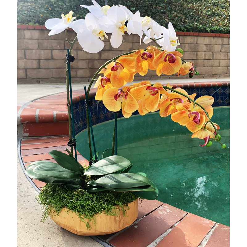 Orchidées florales, Orange, H 26 po x l 12 po x P 12 po