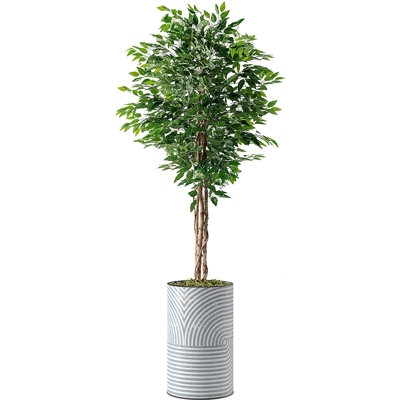 66'' Faux Ficus Tree in Planter