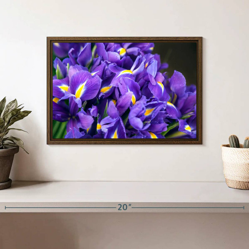 Violet iris, 13 po x 9 po, Cadre flottant noyer