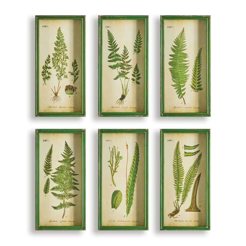 «Fern Prints» de Sannois - Ensemble de 6 reproductions de cadres photo