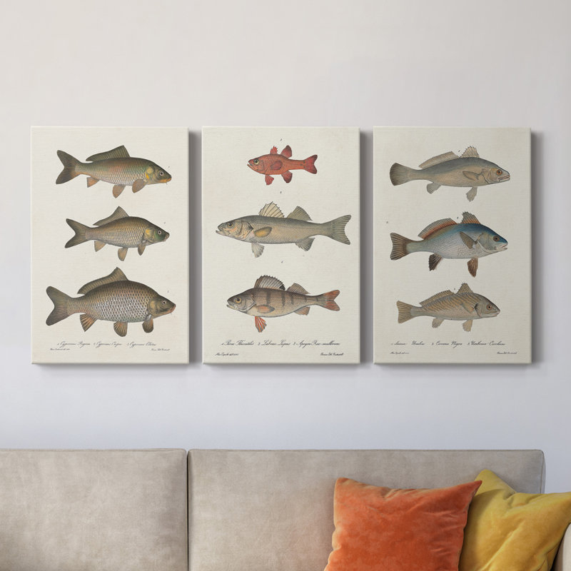 «Species of Antique Fish I», ensemble de 3 impressions sur toile tendue, H 60 po x l 120 po x P 1 po