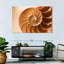 Coque Aletra Nautilus à l'intérieur-107680923