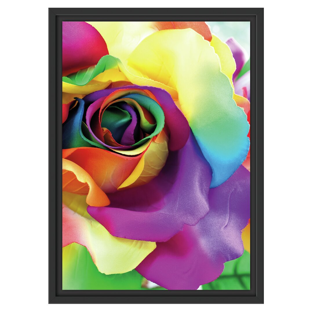 Gerahmtes Wandbild Bunte Rosen