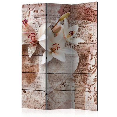 Nauset 172cm H Solid Wood Folding Room Divider