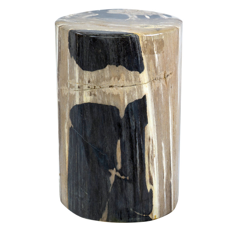 Fossil Relics End Table