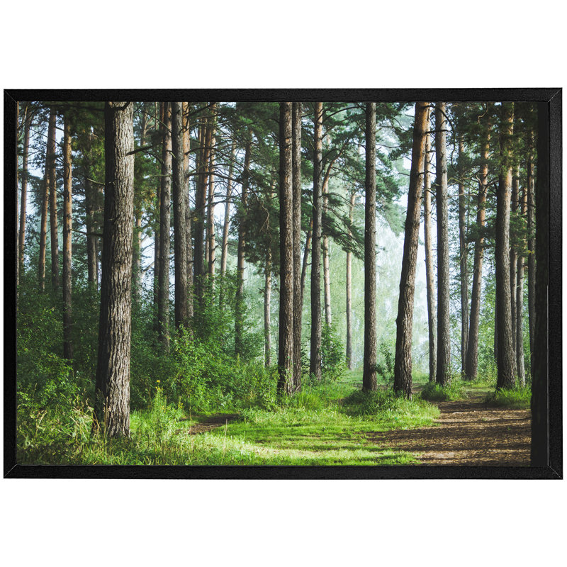 Dellroy Single Picture Frame Print, Black Framed, 76cm H x 114cm W x 4cm D