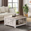 Canizales Coffee Table with Storage-1532125690