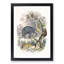 Animal Kingdom Illustration by Oliver Goldsmith - Single Picture Frame Painting-55545208-55545211
