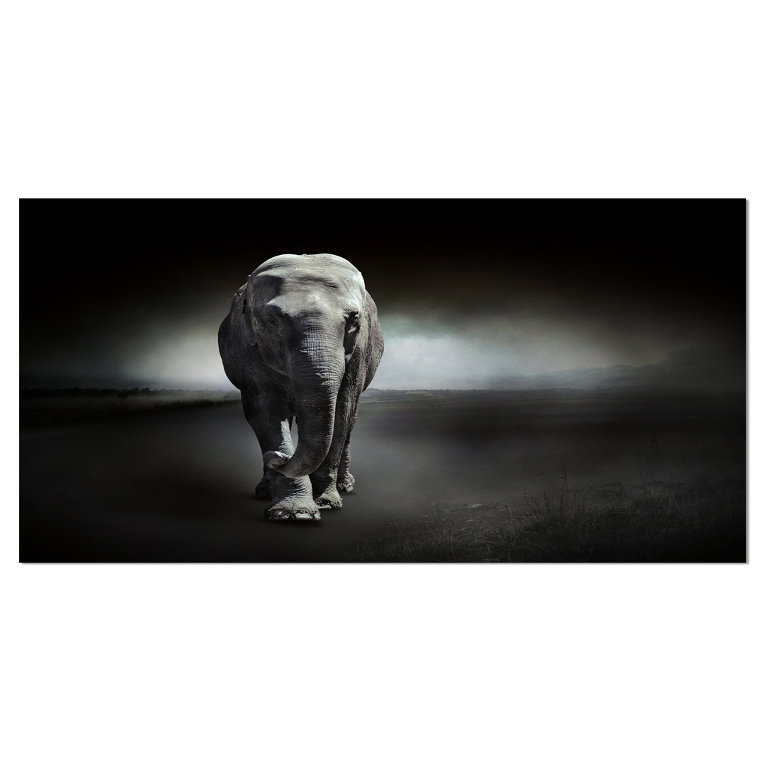" Large Elephant On Black " Design Art 