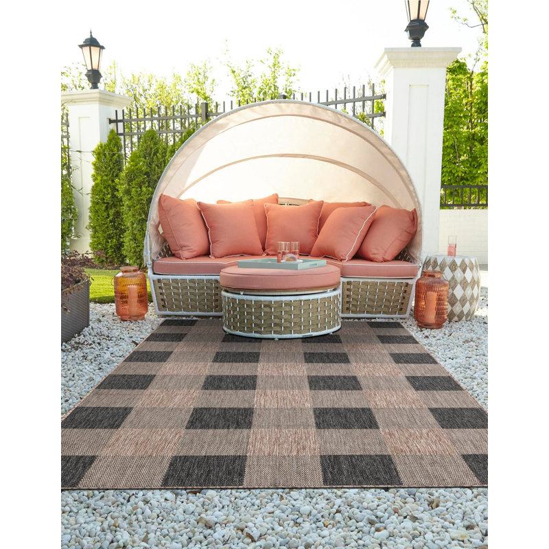 Tapis intérieur / extérieur Borrego , Rectangle 2 pi x 3 pi 1 po