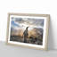 King Penguin - Picture Frame Painting Print-56705113-56705114