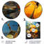 Citron, Sienne sereine, coucher de soleil, lac, fruits, art mural en métal-1768886200