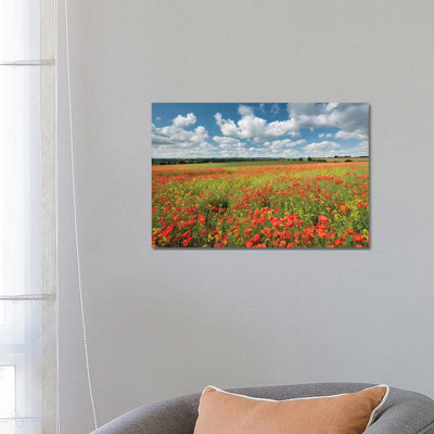 «Colors of Summer» par Adam Burton - reproduction de photo