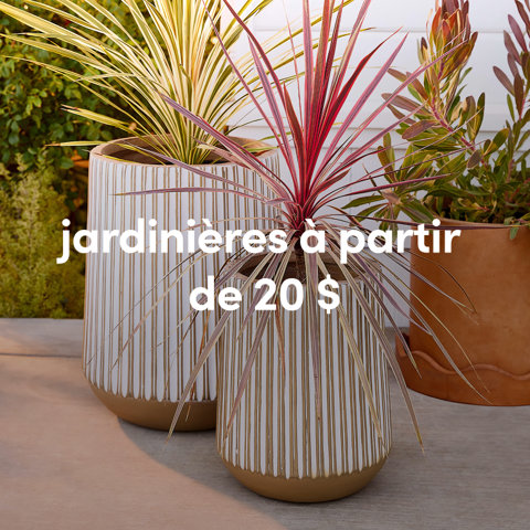 Deux jardinières en céramique à rayures verticales blanches et beiges contenant des plantes épineuses rouges et vertes à partir de 20 $.