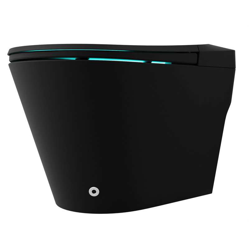 Toilette de bidet allongée ANZZI Echo 1,28 GPF (siège inclus), Noir mat
