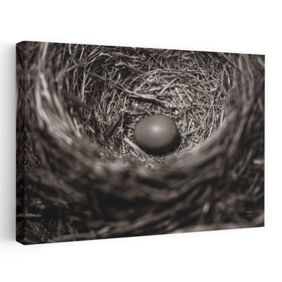 «Préparant I» - Art contemporain en nid d'oiseaux