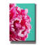 «Pink Peony» par Lexie Greer-774592218