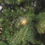 OAKLEY FIR SLIM - Artificial Christmas Tree-903955990