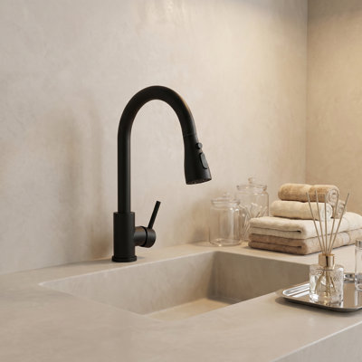 Pull-out Sprayer Retractable Kitchen Tap