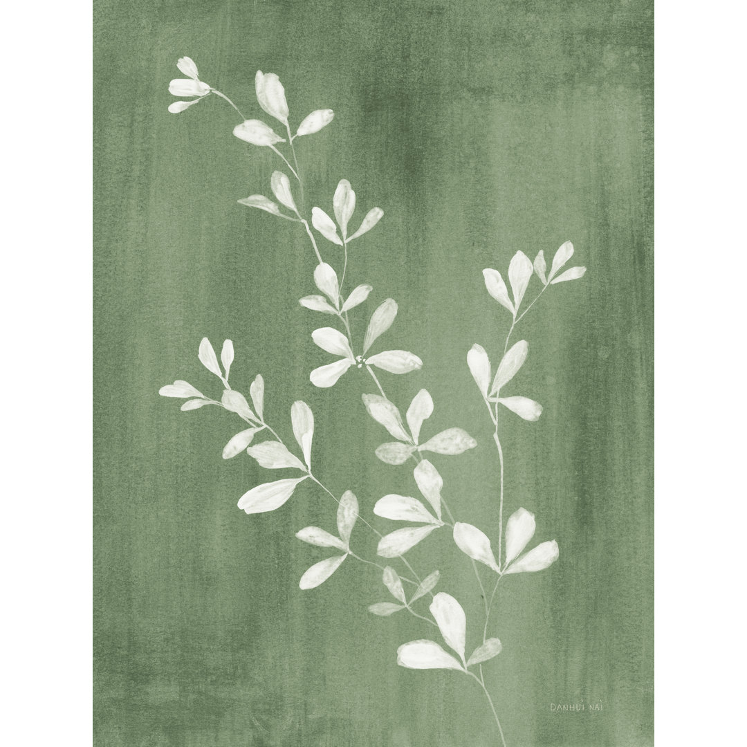 Imed Simple Nature II Sage On Canvas by Danhui Nai Print Winston Porter 