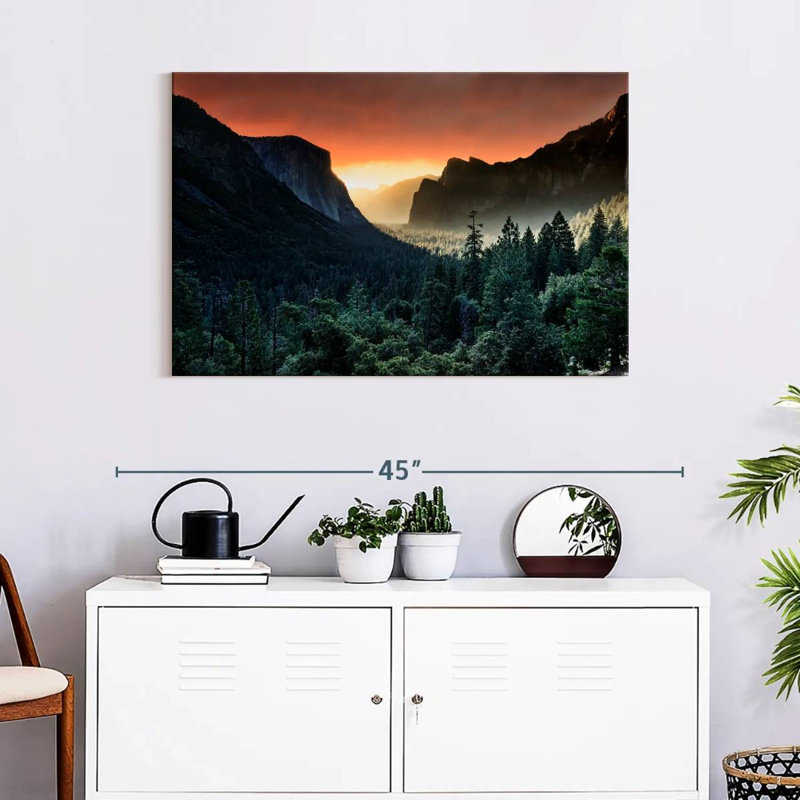 Harnek Forest Last Light, 24" H x 36" W