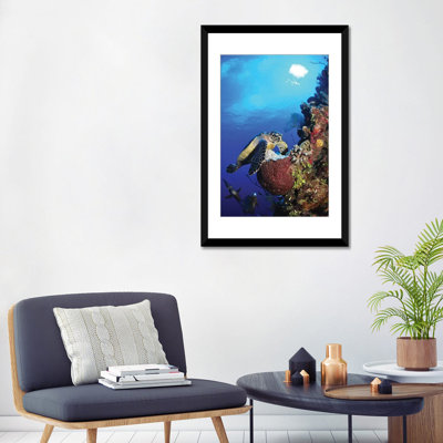 «Hawksbill Sea Turtle and Grey Angelfish by Coral Reef», reproduction de photo sur toile