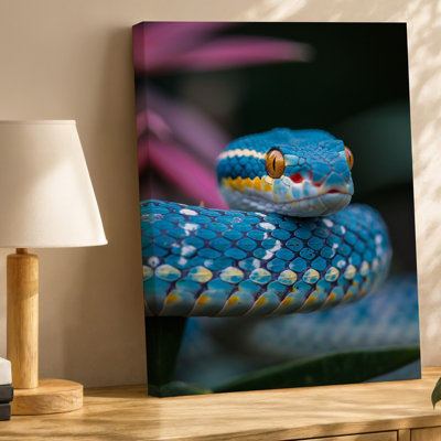Canvas A Close Up Shot Of A Vividly Colored Snake Featuring Wall Art A Striking Blue And White Patterned Body Adorned With Bright Canvas Wall Art