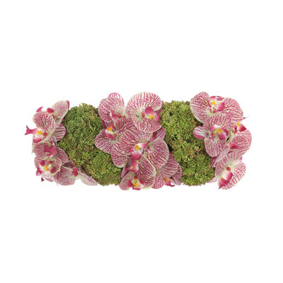 Orchid and Sedum Arranged in Fiberstone Planter