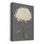 «Dramatic Ivory Mums II», peinture sur toile tendue-1546038744