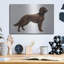 «Irish Setters» par Harro Maass-1914823148