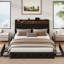 Upholstered Platform Bed with 4 Storage Drawers, Velvet Queen Size Bed with Storage Shelf Headboard&Charging Station&Led Lights, Black-2090414743-2090414742