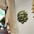 Traditional Buildings & Architecture Wall Decor on Metal