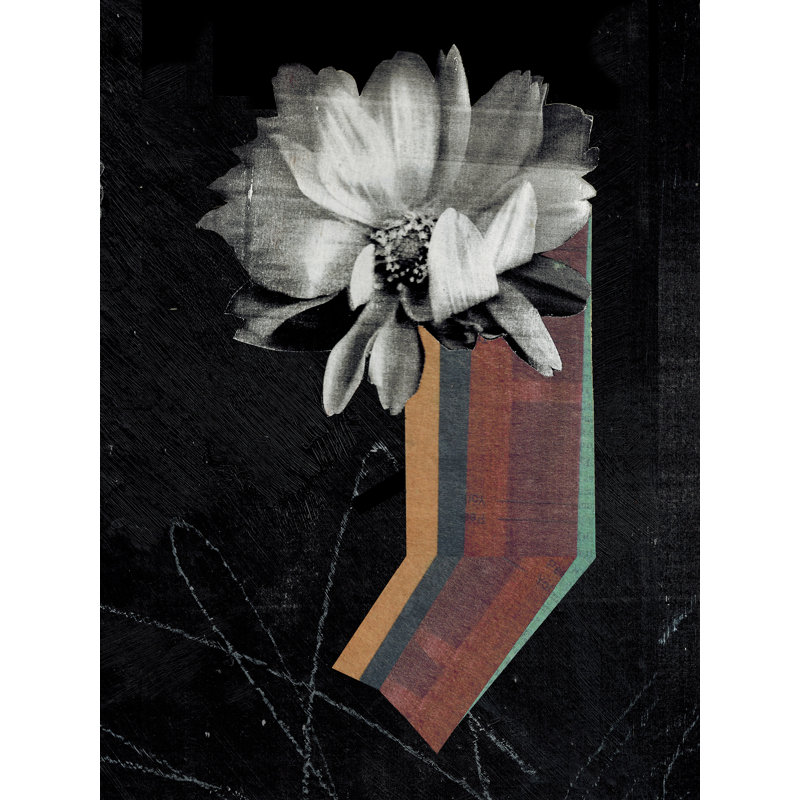 Space Dahlia I by Lindsey Newman - Wrapped Canvas Print, 46 cm H x 30 cm W
