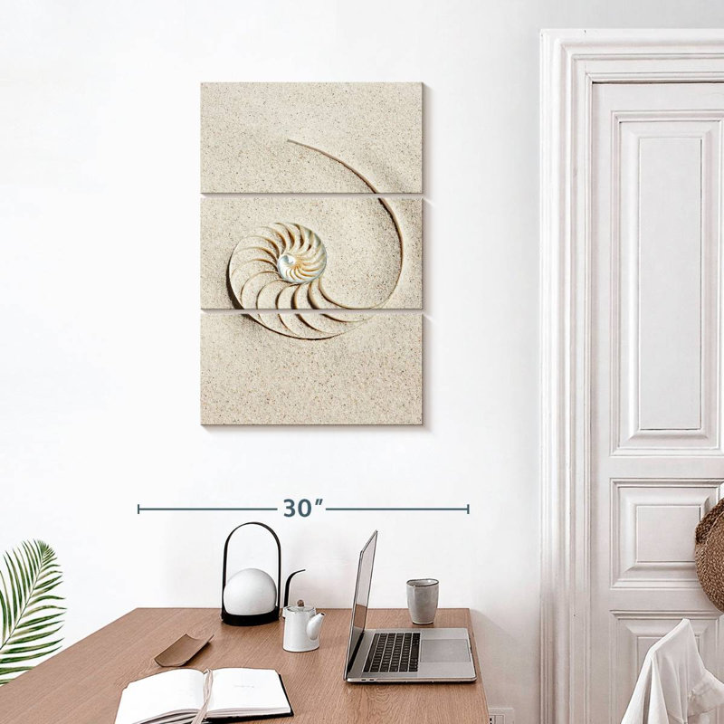 Brampt Nautilus Shell In Sand, 32" H x 20" W