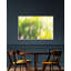Intimation Of Light 1 Print-2106330038