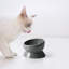 Bol surélevé pour chat-50625643-114688971