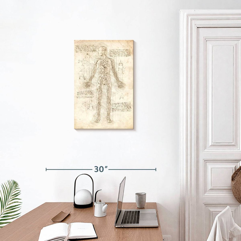 Système circulatoire humain Keiri, H 24 po x l 16 po