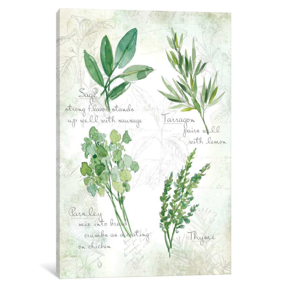 'Fresh Herbs II' Painting on Wrapped Canvas