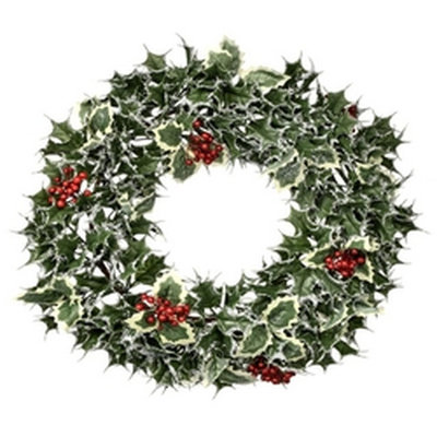 22 " Holly Wreath