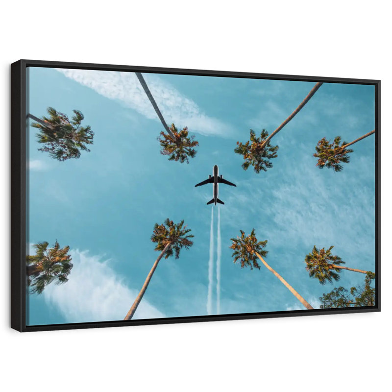 Avion au-dessus de palmiers, Cadre flottant noir, 13 po x 9 po