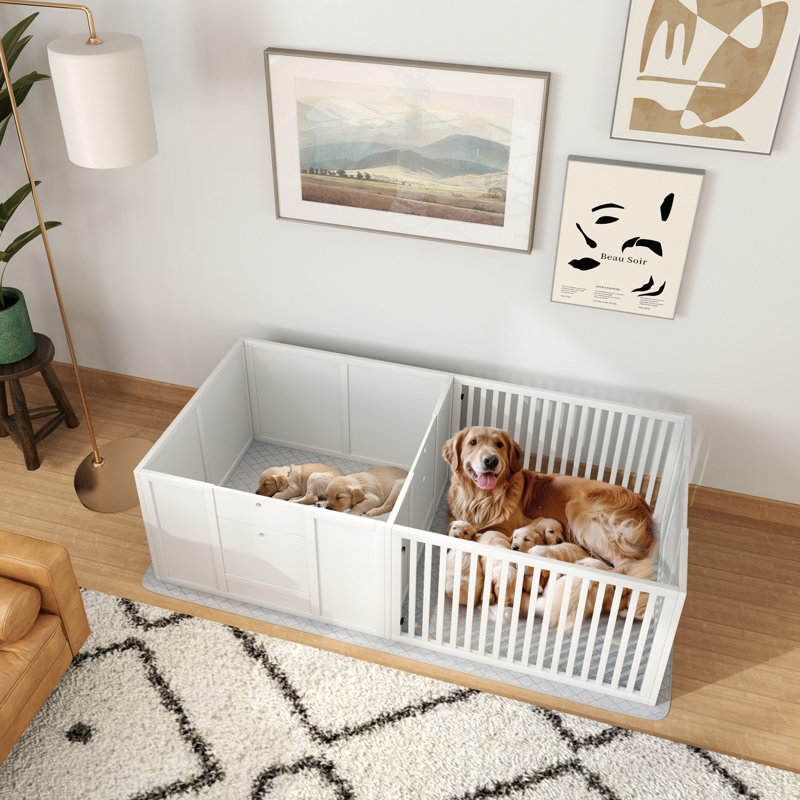 Boîte de mise bas pour chien, boîte de mise bas avec coussin imperméable et porte réglable